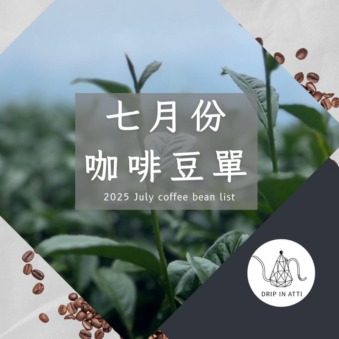 2025七月份豆單